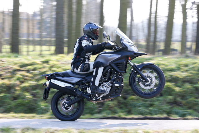 Man motorcycle road forest sunny free wallpaper for desktop - medium preview image