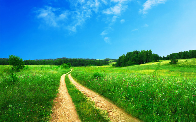 Dirt road lush green field #5 free wallpaper for desktop - medium preview image