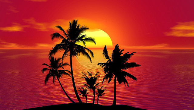 Sunset palm trees ocean red free wallpaper for desktop - medium preview image