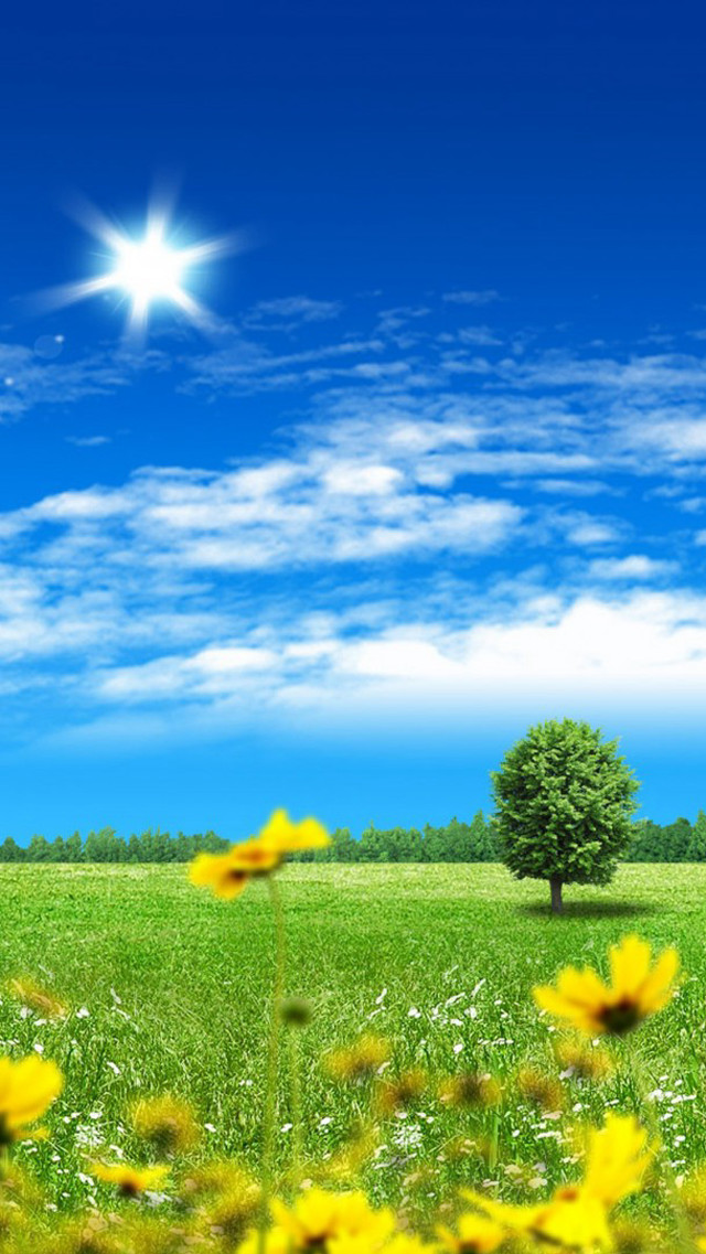 Field tree blue sky clouds #3 free wallpaper for mobile - medium preview image