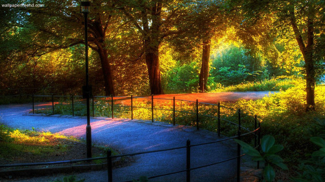 Park path trees fence sunset free wallpaper for desktop - medium preview image