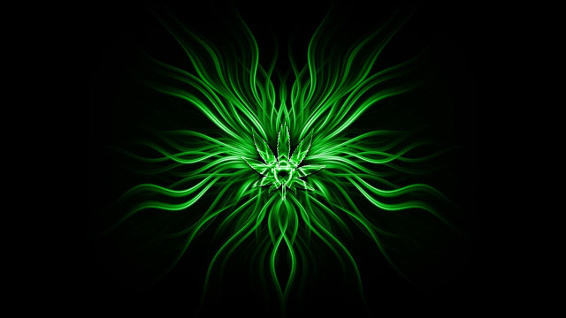 Green flower black background center #2 free wallpaper for desktop - medium preview image