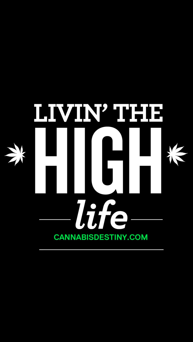 Livin the high life cannabisdestiny free wallpaper for mobile - medium preview image