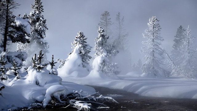 Snowy forest stream winter mist free wallpaper for desktop - medium preview image