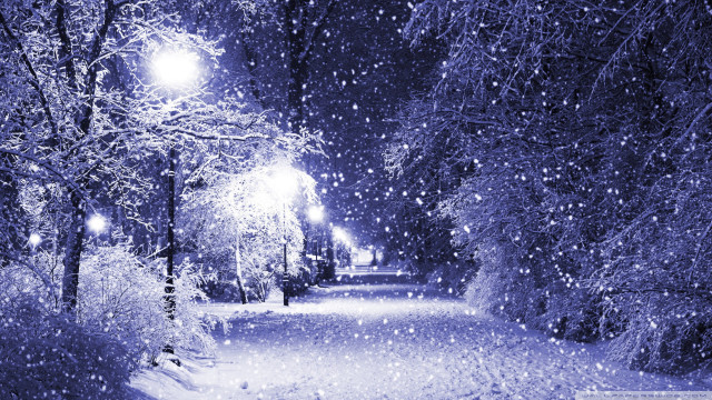 Snowy path street light trees #2 free wallpaper for desktop - medium preview image