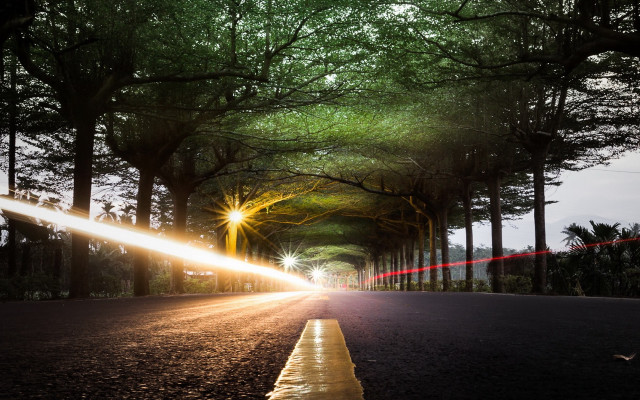 Street light trees city night free wallpaper for desktop - medium preview image