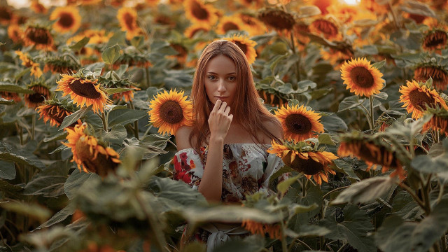 Sunflower field woman autumn blurry free wallpaper for desktop - medium preview image