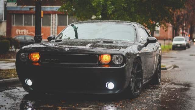 Black car wet street streetlight free wallpaper for desktop - medium preview image