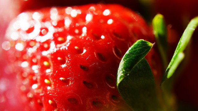 Strawberry water droplets macro leaf free wallpaper for desktop - medium preview image