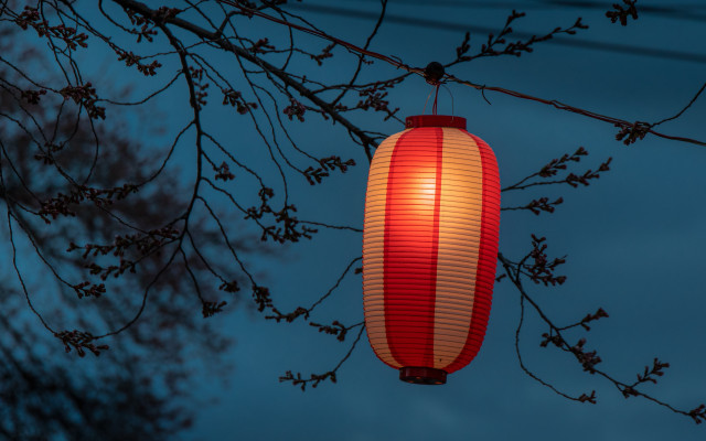 Red lantern night tree leaves free wallpaper for desktop - medium preview image