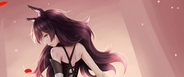 Woman corset long hair cat free wallpaper for desktop - medium preview image