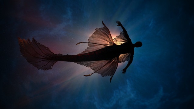 Woman flying fish tail starry free wallpaper for desktop - medium preview image