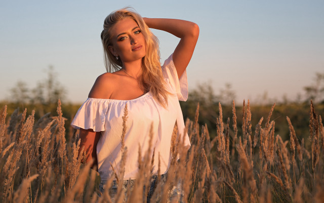 Woman field blonde shoulders sunset free wallpaper for desktop - medium preview image