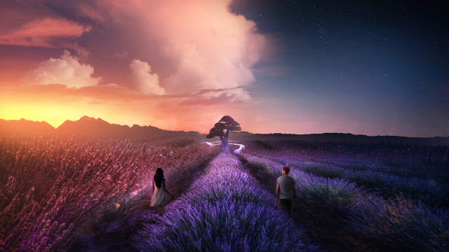 Lavender sunset couple road field free wallpaper for desktop - medium preview image