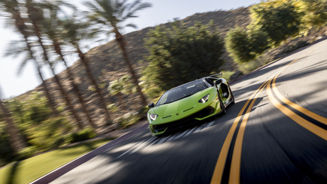 Green sports car palm trees free wallpaper for desktop - medium preview image