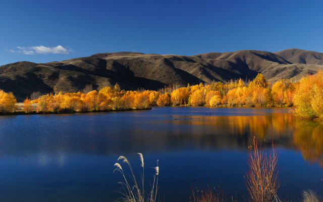 Lake mountains trees autumn sky #6 free wallpaper for desktop - medium preview image