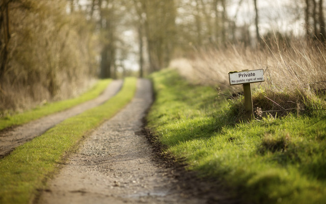 Private press tiltshift field path free wallpaper for desktop - medium preview image