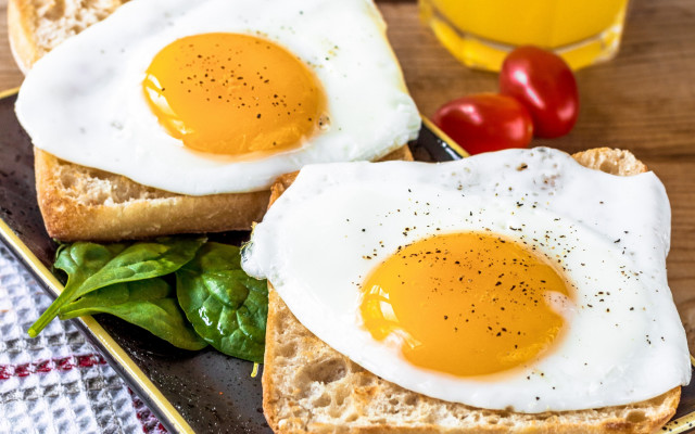 Eggs on toast with spinach free wallpaper for desktop - medium preview image