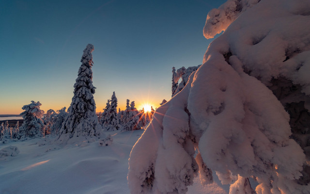 Sunset snowy forest mountains blue free wallpaper for desktop - medium preview image