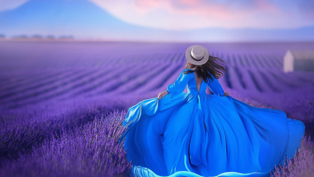 Lavender field woman blue dress free wallpaper for desktop - medium preview image