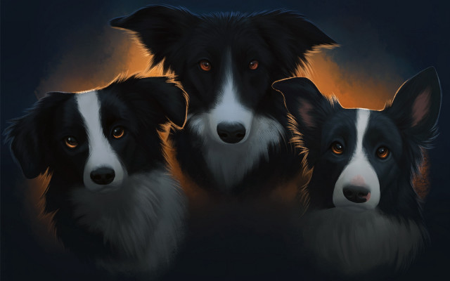 Three dogs orange eyes black free wallpaper for desktop - medium preview image