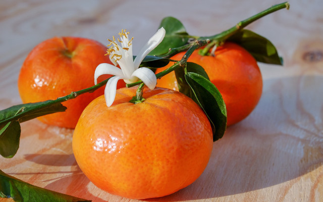 Oranges flower leaves table wooden free wallpaper for desktop - medium preview image