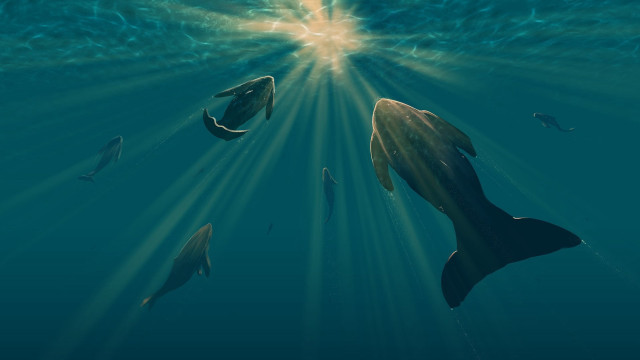 Dolphins blue ocean sunlight volumetric free wallpaper for desktop - medium preview image