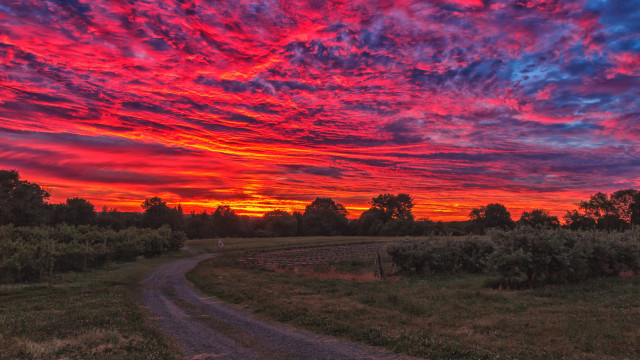 Sunset red blue dirt road free wallpaper for desktop - medium preview image