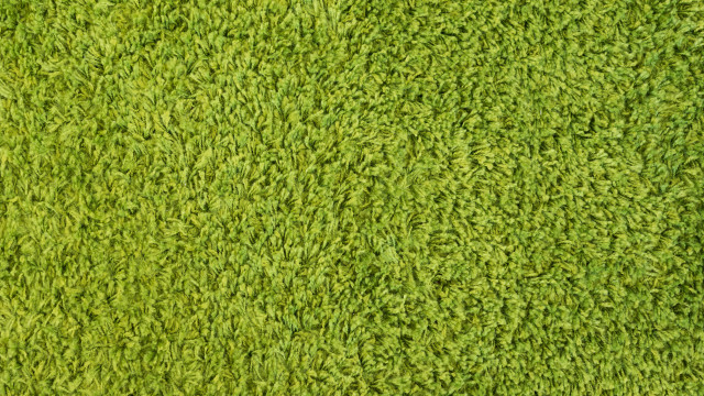Green grass texture white border free wallpaper for desktop - medium preview image