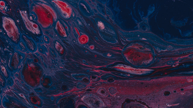 Liquid bubbles abstract red blue free wallpaper for desktop - medium preview image