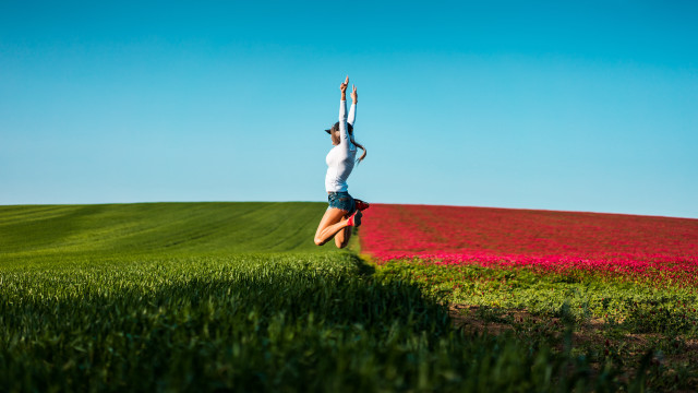 Woman handstand field flowers summer free wallpaper for desktop - medium preview image