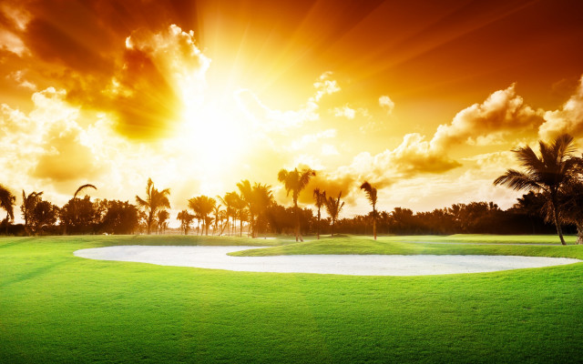 Golf course sand path palm free wallpaper for desktop - medium preview image