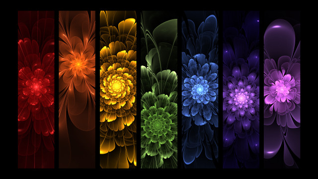 Colorful flowers black background red free wallpaper for desktop - medium preview image