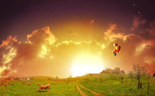 Flying kite field cows sunset free wallpaper for desktop - medium preview image