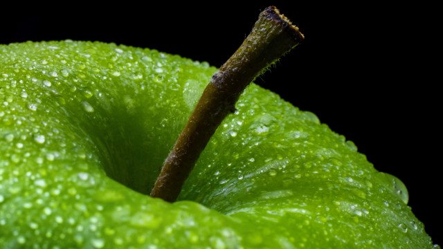 Green apple water drops macro free wallpaper for desktop - medium preview image