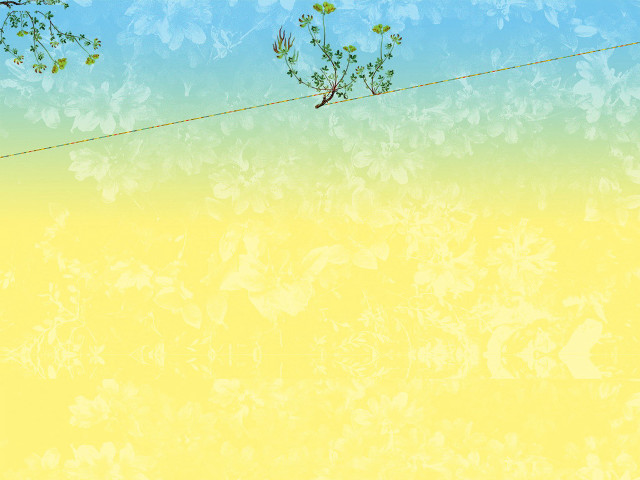 Bird wire yellow background glitch free wallpaper for desktop - medium preview image