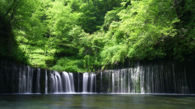 Waterfall forest stream trees nature free wallpaper for desktop - medium preview image