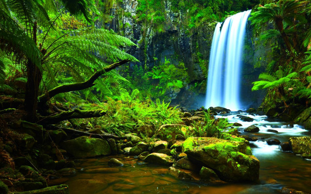 Waterfall tropical forest rocks trees free wallpaper for desktop - medium preview image