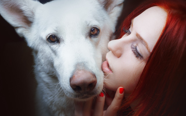 Woman red nails white dog free wallpaper for desktop - medium preview image