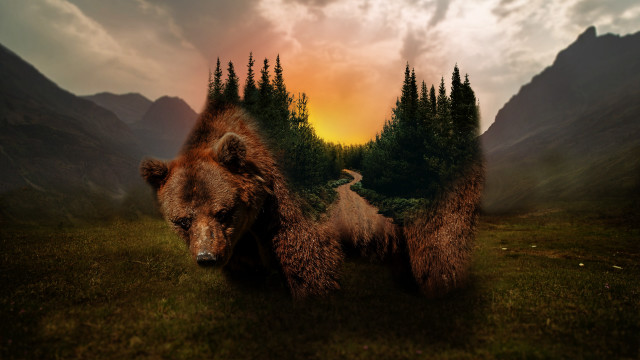 Bear bird mountains field surreal free wallpaper for desktop - medium preview image