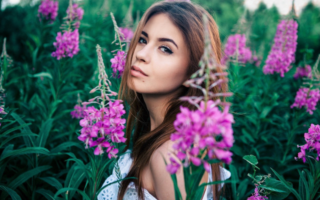 Woman purple flower field blurry #2 free wallpaper for desktop - medium preview image