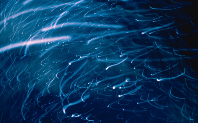 Blue background lines light shining free wallpaper for desktop - medium preview image