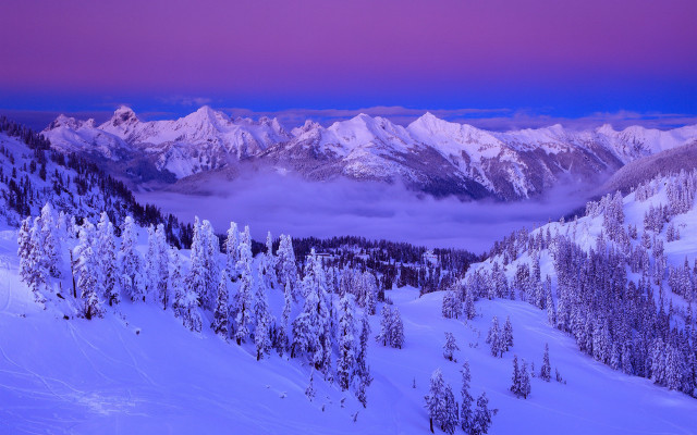 Snowy mountain purple sky trees free wallpaper for desktop - medium preview image