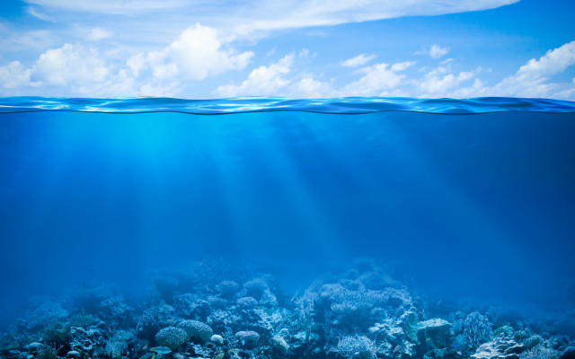 Blue ocean corals fish sky free wallpaper for desktop - medium preview image
