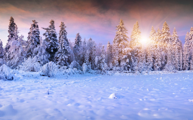 Snowy landscape pink sunset matte free wallpaper for desktop - medium preview image