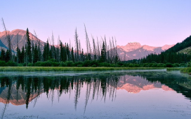 Lake mountains trees pink sky #2 free wallpaper for desktop - medium preview image