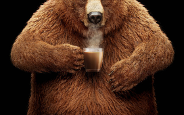 Bear coffee steam furry 3d free wallpaper for desktop - medium preview image