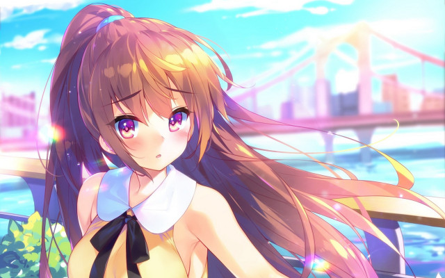 Girl long hair bridge city free wallpaper for desktop - medium preview image