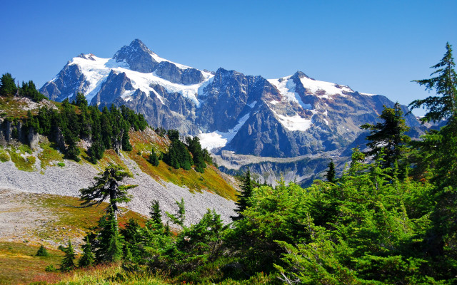Mountain range snow peak forest #2 free wallpaper for desktop - medium preview image