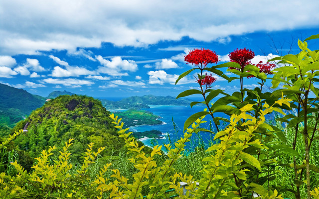 Mountain redflower water scenery beach free wallpaper for desktop - medium preview image